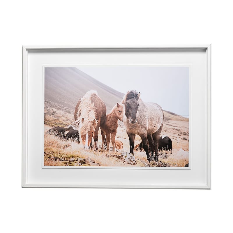 Horses of Hofn I Framed Art Print