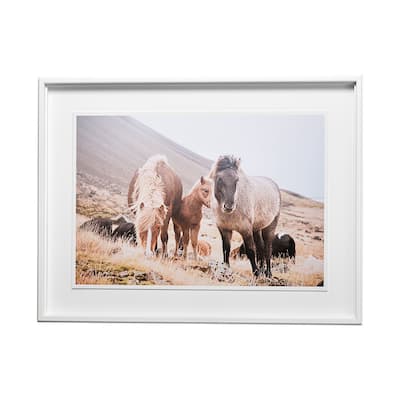 Horses of Hofn I Framed Art Print