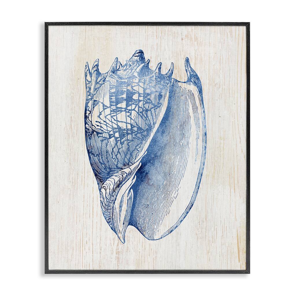 Stupell Nautical Soft Blue Conch Framed Giclee Art Design By Susan Arnot