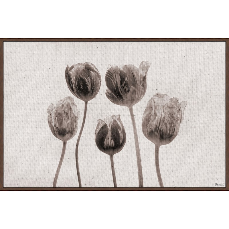 It's Tulip Time Floater Framed Print on Canvas