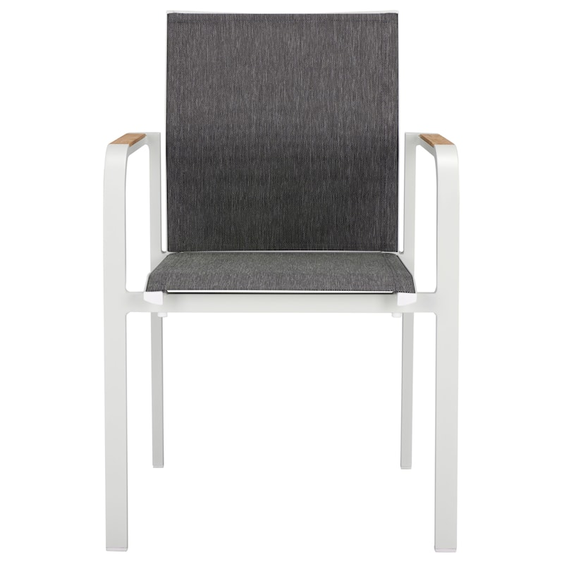 SAFAVIEH Outdoor Living Dexter Armchair with Teak (Set of 2)