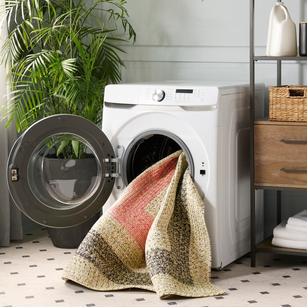 SAFAVIEH Handmade Braided Anushka Indoor/Outdoor Machine Washable Rug