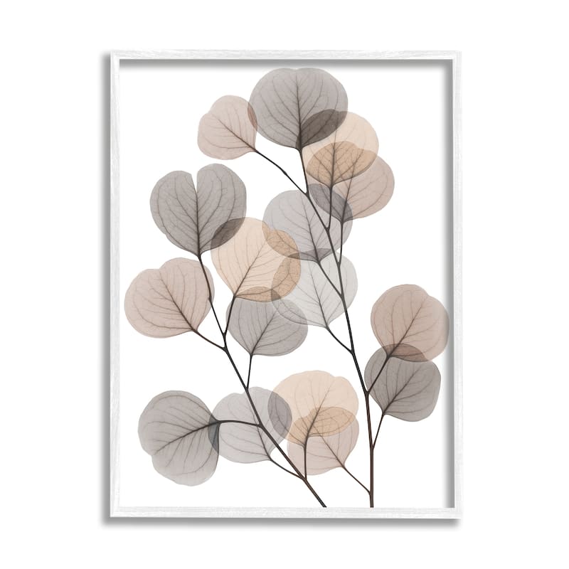 Stupell Modern Eucalyptus Leaf Stems Translucent Brown Grey Leaves Framed Wall Art - 11 x 14 - White