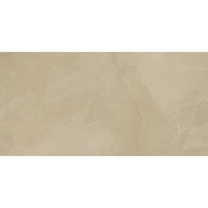 Ackland AKNPTSON12X24M-PL Sonoma - 12" x 24" Rectangle Floor and Wall