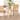 Anfield Modern Bohemian Natural Seagrass and Mahogany Wood Dining Chair