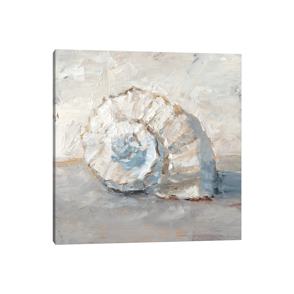 iCanvas "Blue Shell Study III" by Ethan Harper Canvas Print