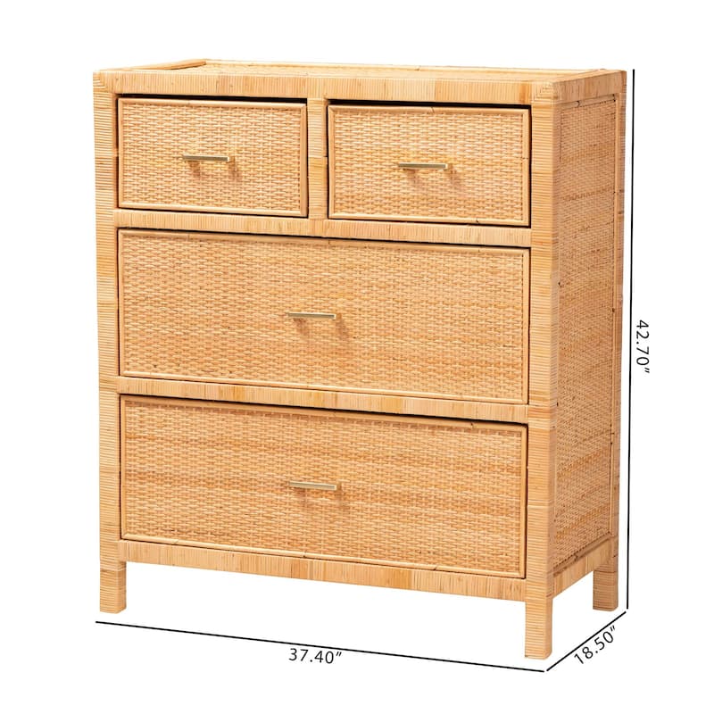 Vaere Modern Bohemian Natural Brown Rattan and Mahogany Wood Storage Cabinet