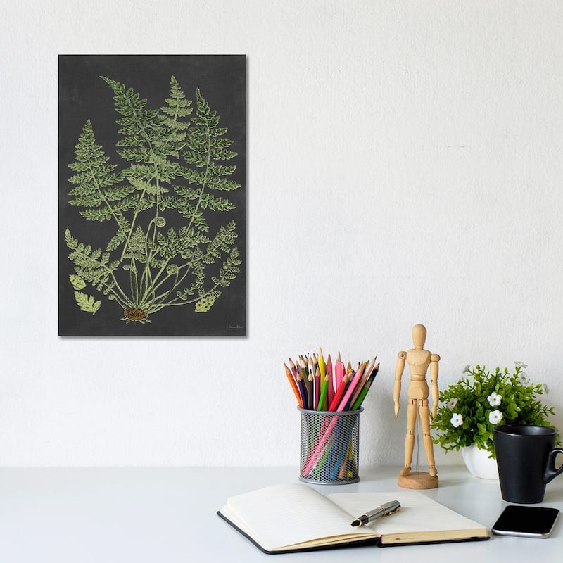 iCanvas "Fern Study" by lettered & lined Canvas Print - 12x8x0.75