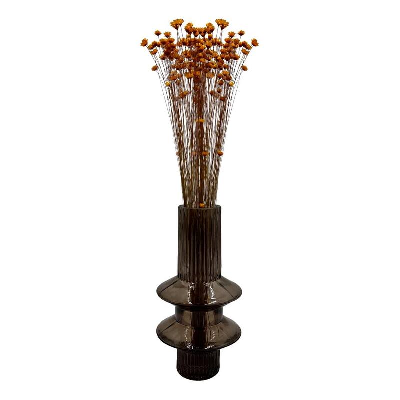 Bundle of 4 Preserved Little Star Flower,16-20" long - 16-22 inch - Orange