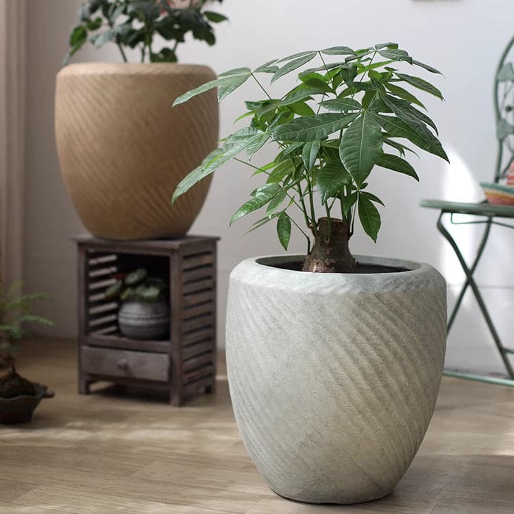 RusticReach Comtemporary Swirl Planter