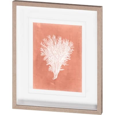Sealife on Coral II Framed Art Print