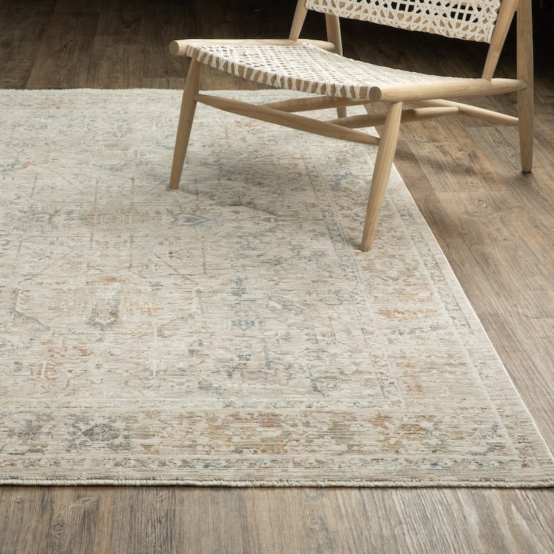 Amira Distressed Traditional Beige/ Blue Area Rug - 7'10" x 10'2"