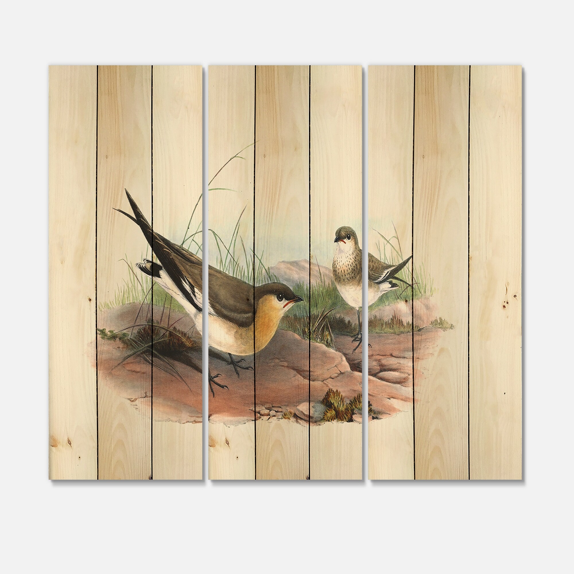Designart 'Vintage Bird Illustration II' Farmhouse Print on-image