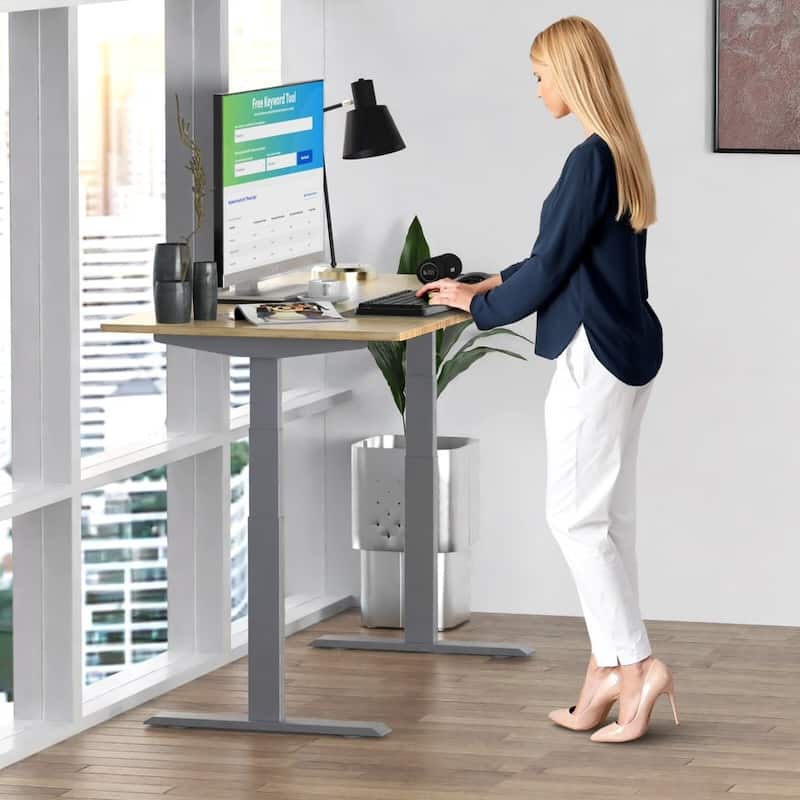 Rise Up Electric Standing Desk Dual Motor 48x30 solid bamboo desktop
