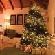preview thumbnail 4 of 3, Twinkly LED Micro/5mm Multicolored 250 ct String Christmas Lights 65.5 ft.