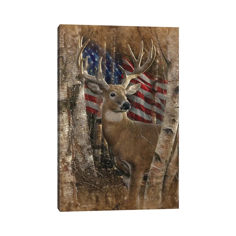 iCanvas "Whitetail Buck - America" by Collin Bogle Canvas Print