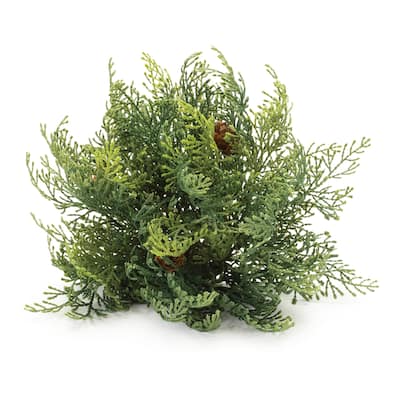 Cedar Pinecone Half Ord (Set of 2) - N/A