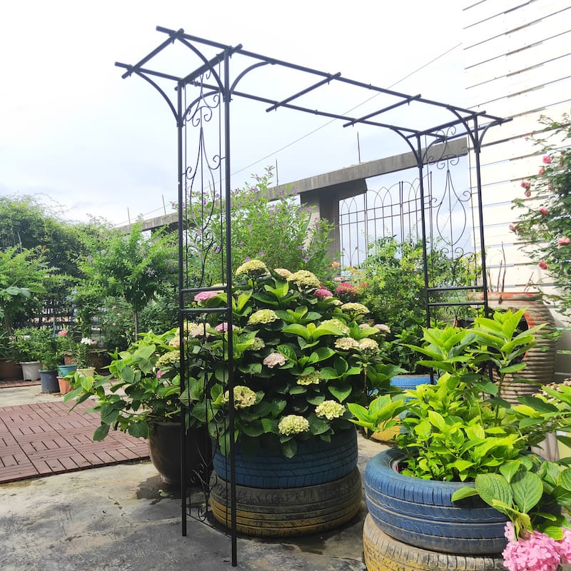Metal Garden Arch Climbing Plants Support Rose Arch Outdoor Black