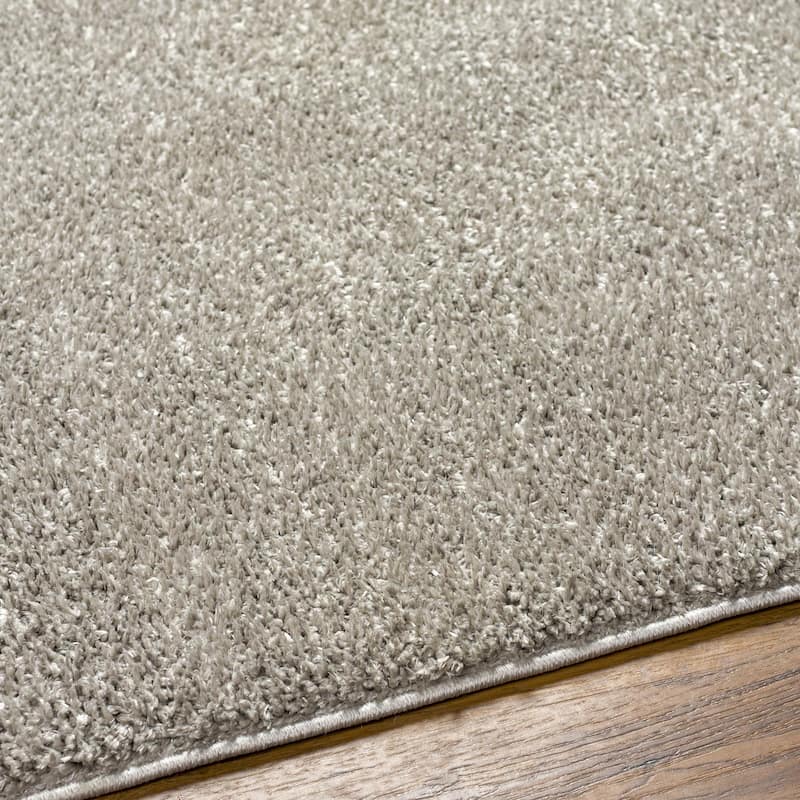 Livabliss Alfombra Machine Washable Plush Area Rug