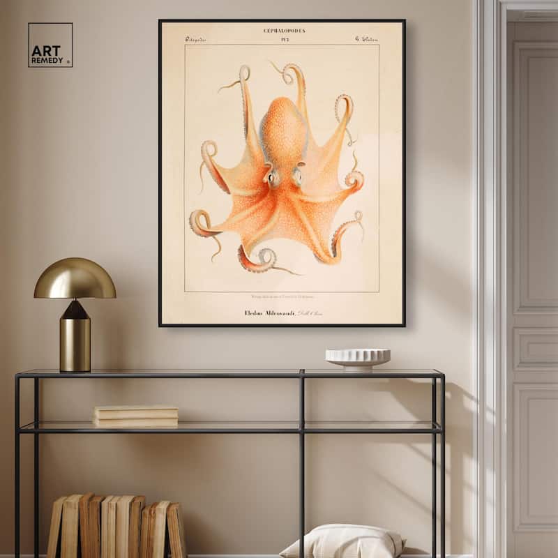 Verany The Octopus 1815 II Canvas by Art Remedy