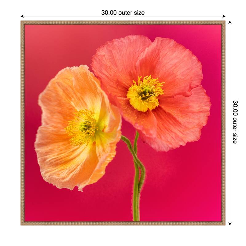 Luxuriously Lucent by Cheryl Eagers Framed Canvas Wall Art Print - 30 x 30 in