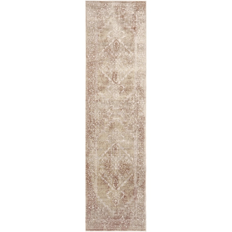 Nourison Astra Machine Washable Distressed Area Rug