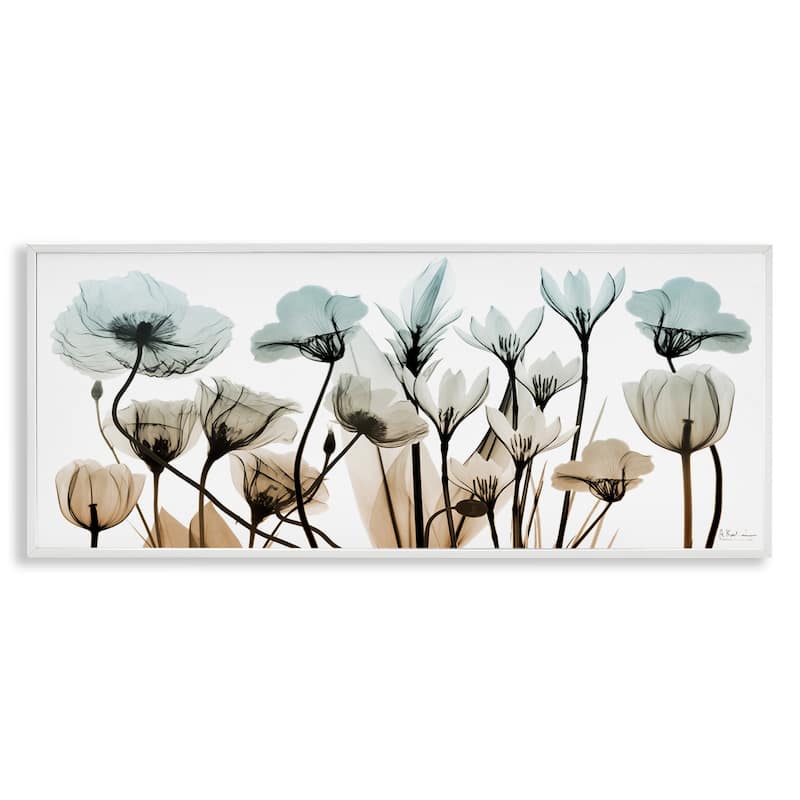 Stupell Mixed X-Ray Flowers Framed Giclee Art Design by Albert Koetsier - 30 x 13 - White