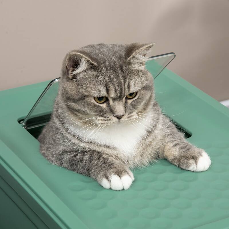 PawHut Fully Enclosed Cat Litter Box with Scoop, Hooded Cat Litter House with Drawer Type Tray