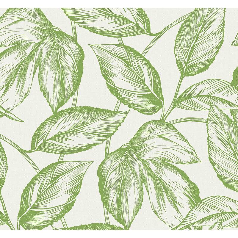 Seabrook Designs Beckett Sketched Leaves Unpasted Wallpaper - 27 in W x 27 ft. L - Apple Green