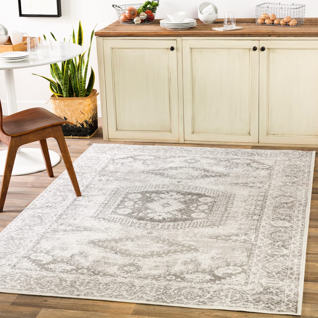 Artistic Weavers Fabrice Vintage Persian Medallion Area Rug