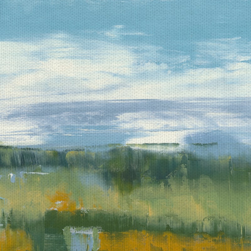 Sideral Day by Ronda Waiksnis Canvas Art Print