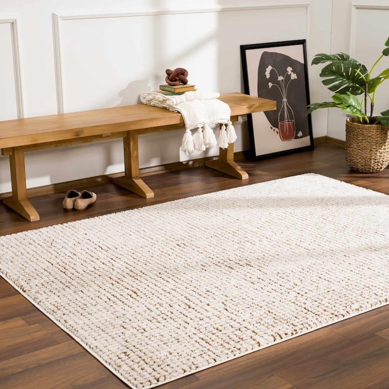 Hauteloom Keita Hallway, Kitchen Runner Rug - High Pile - Bone - 2'8" x 7'3" - 6'7" x 9' - Bone / Keita