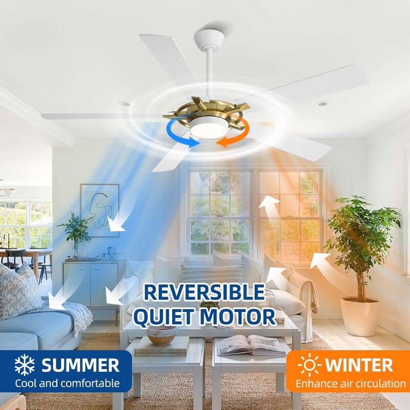 MLiAN 60 In. 5-Plywood Blades Indoor Ceiling Fan with Light Kit and Remote
