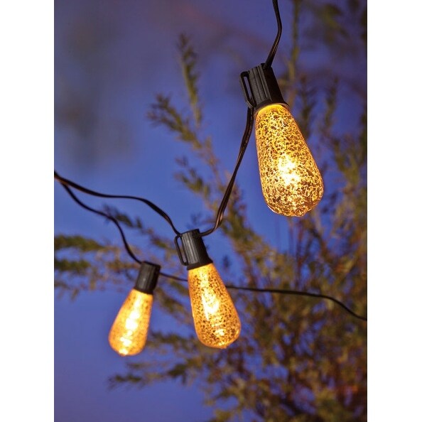 Living accents 2025 edison lights