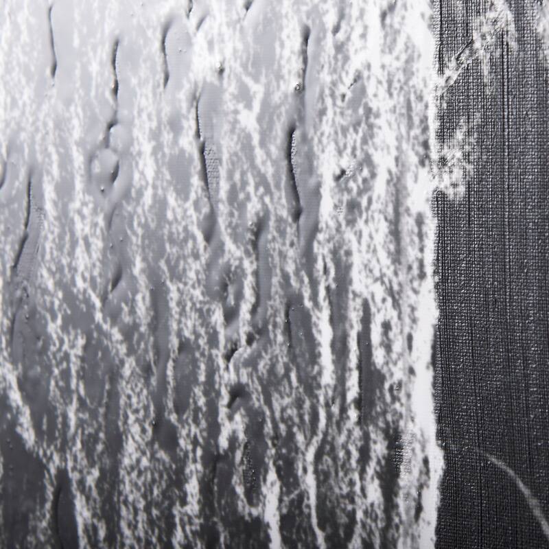 Forest BW II (40 x 80) Canvas Art Print