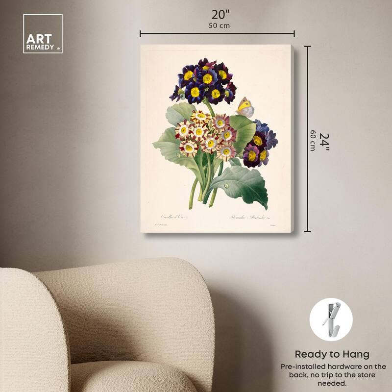 Auricula Varieties Canvas by Art Remedy, Gallery Wrapped