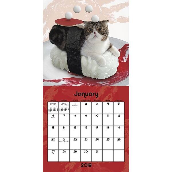 Shop 2019 Sushi Cat 2019 Mini Wall Calendar By Trends
