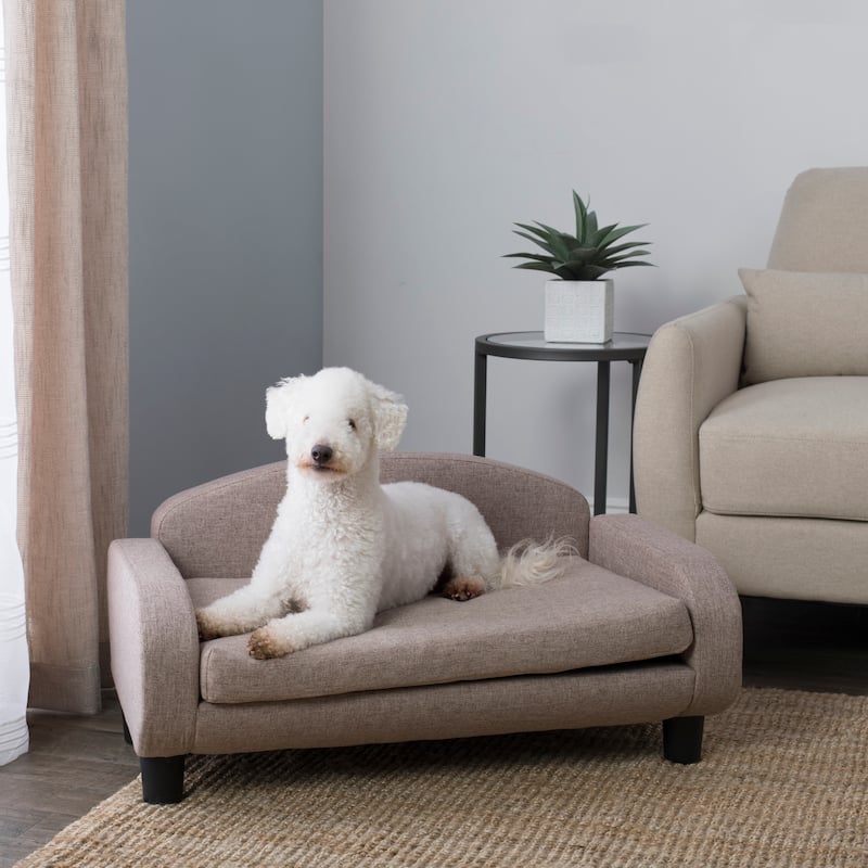 Paws & Purrs Modern Pet Sofa Bed Low-Back Lounger for Dogs & Cats – Removable Washable Mattress Cover