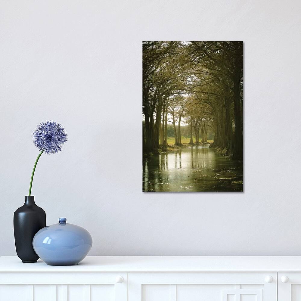 iCanvas "Texas Hill Country" by Ann Hudec Canvas Print