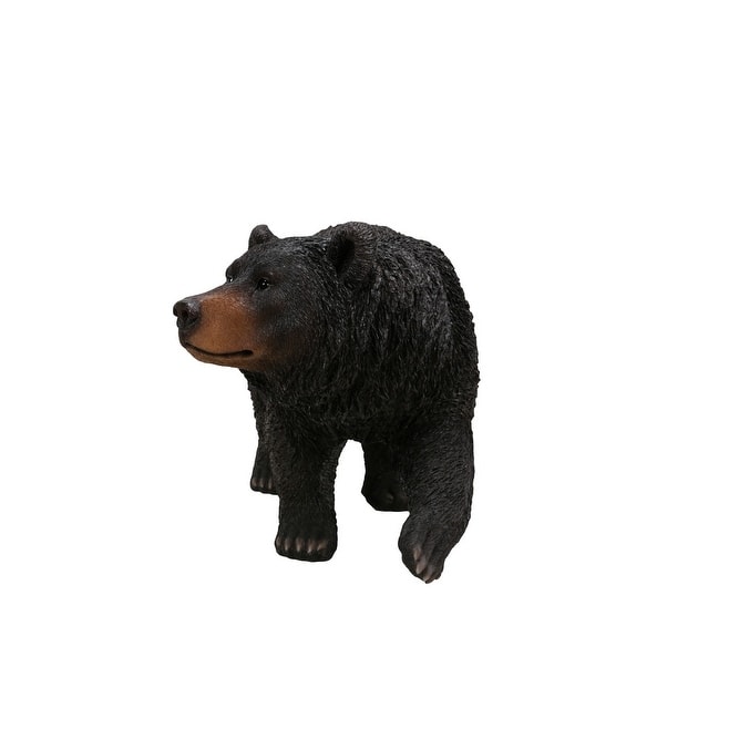 Black Bear Walking