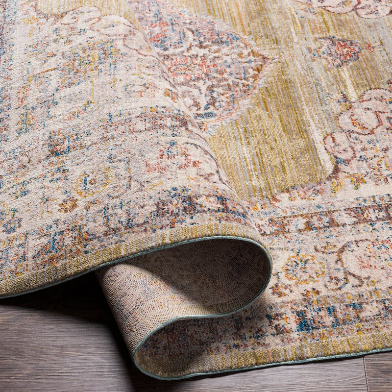 Artistic Weavers Raji Distressed Medallion Area Rug