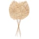Option Light Brown