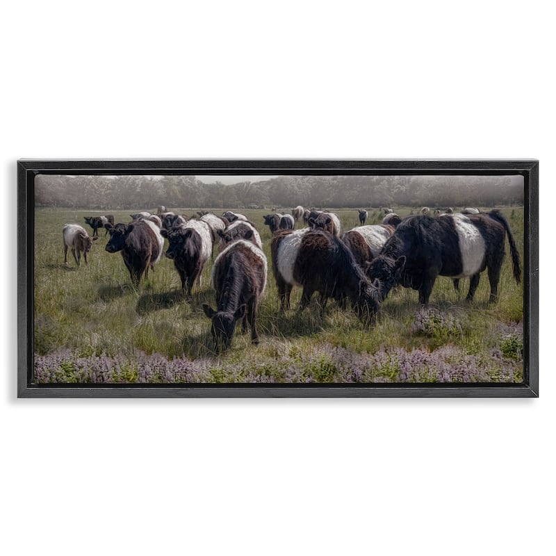 Stupell Black Cows Grazing in Pasture Framed Floater Canvas Wall Art Design By Robin-Lee Viera - 31 x 14 - Black