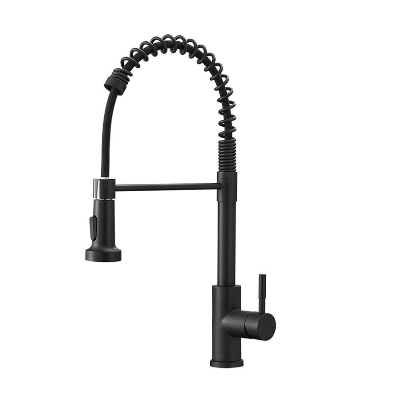 Stainless Steel Kitchen Faucet with Pull-Down Sprayer, Single Handle - Black