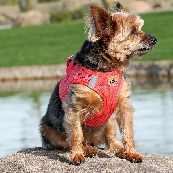 american river choke free dog harness