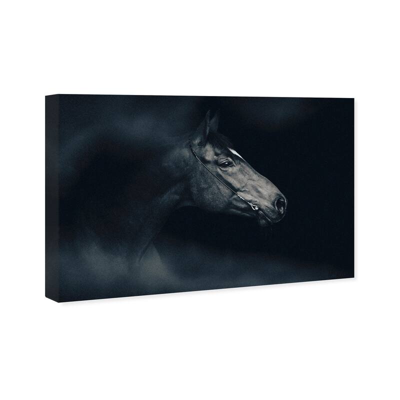 Wynwood Studio Canvas Animals Has to be to Win Black and Modern & Contemporary Wall Art Canvas Print
