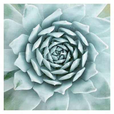 Desert Splendor by Belle Maison Canvas Art Print