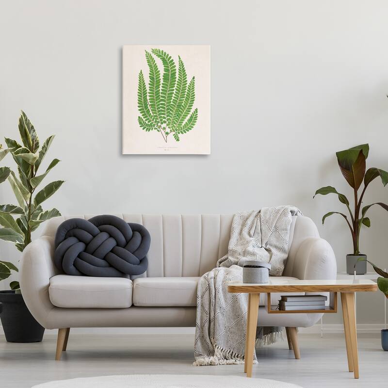 Stupell Cottage Ferns Study Canvas Wall Art Design By Phillipa Katz
