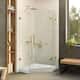 Option Satin Brass