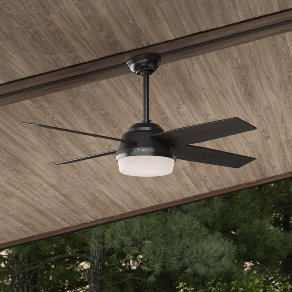 Hunter 52" Dempsey Outdoor Ceiling Fan with LED Light Kit and Handheld Remote, Damp Rated - Contemporary, Transitional